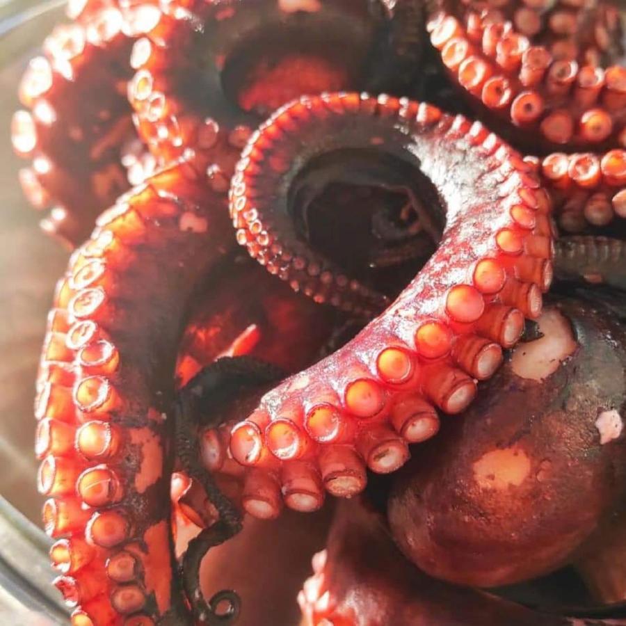 Appartamento Gelsonia Cefalù Esterno foto