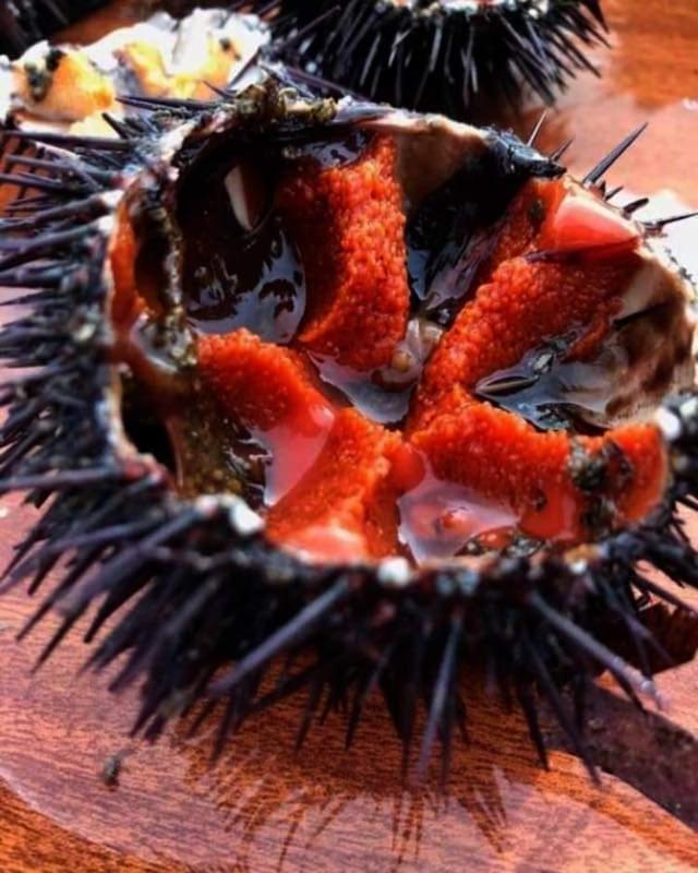 Appartamento Gelsonia Cefalù Esterno foto