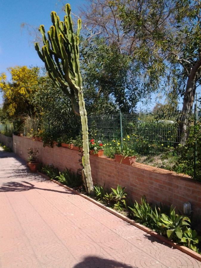 Appartamento Gelsonia Cefalù Esterno foto